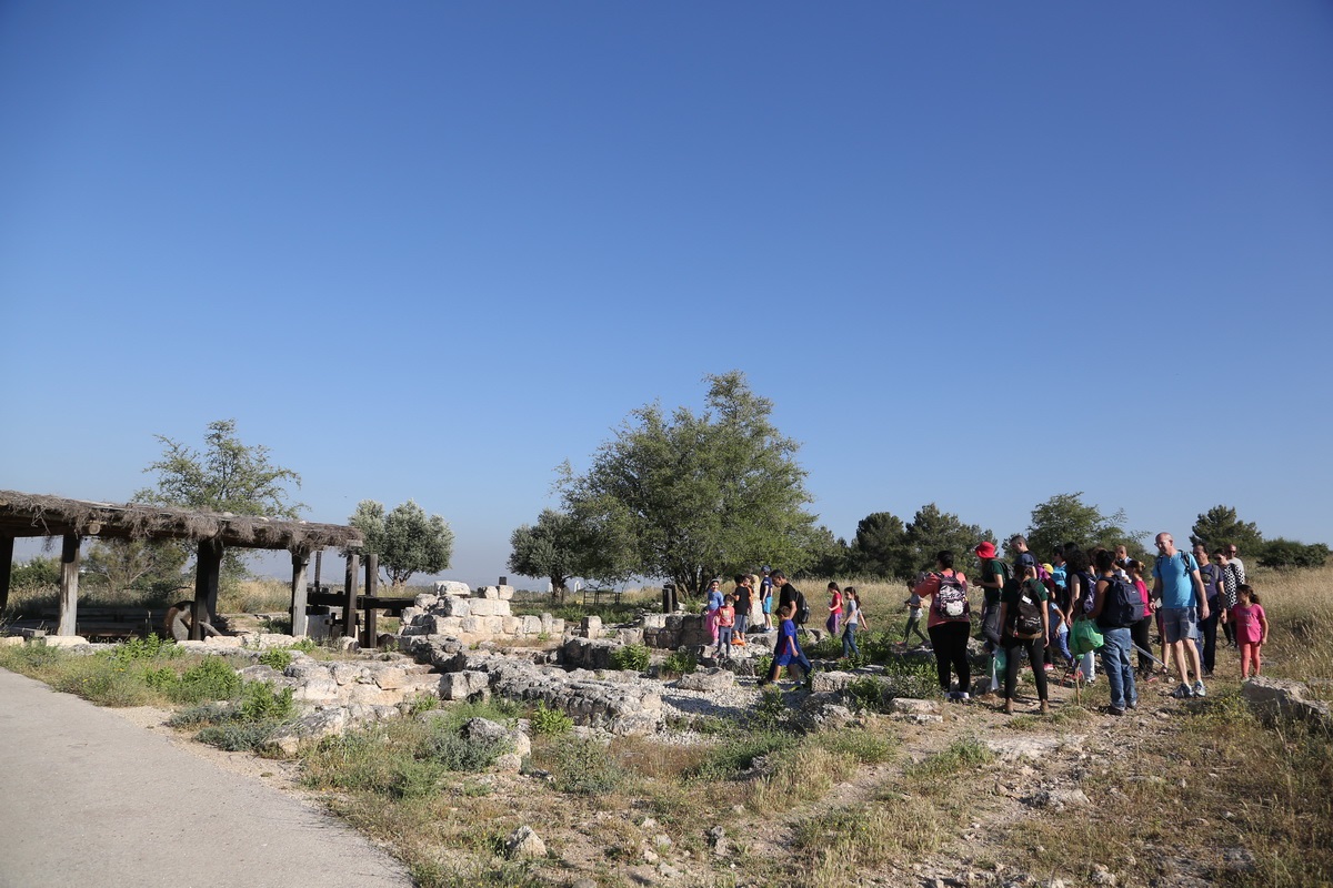 נאות קדומים, צילום: איתי מרקסון